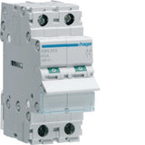 Hager Double Pole Isolator 63A 250V