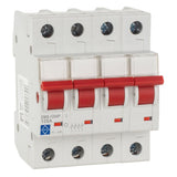 Lewden 125A 4 Pole Main Switch