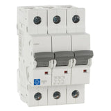 Lewden 63A MCB C Curve Triple Pole 10kA