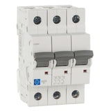 Lewden 6A MCB C Curve Triple Pole 10kA